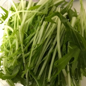 長持ち 水菜の冷蔵 冷凍保存方法 レシピ 作り方 By 新米幸せママ 楽天レシピ 長持ち 水菜の冷蔵 冷凍保存方法 レシピ 作り方 By 新米幸せママ 楽天レシピ